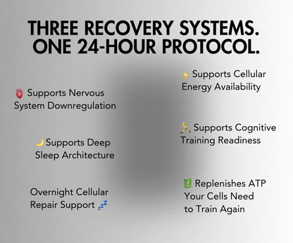 Rest & Rise | The 24-Hour Recovery Protocol